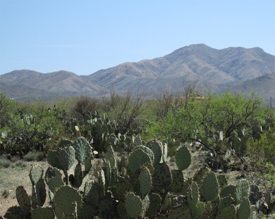 0 E Wetstones Rd unit 21406983, Vail, AZ 85641 - photo 3