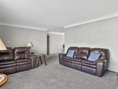 219 Bauer Ln, Maryville, IL 62062 - photo 7