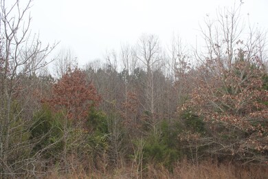 88 Bennett Cir, Byhalia, MS 38611 - photo 5