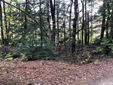 00 Hemlock Dr, Fitzwilliam, NH 03447 - photo 5