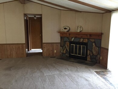 Fireplace in Den