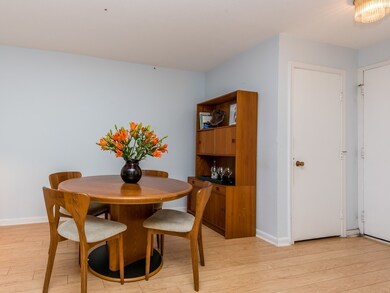 Imperial Towers unit 112, Chestnut Hill, MA 02467 - photo 5