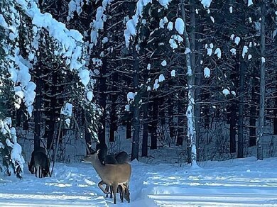 15842 169th Ave, Park Rapids, MN 56470 - photo 7