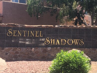 Sentinel Shadows