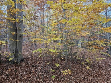 20241030_170438_resized