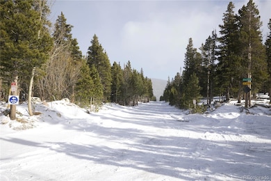 Lot 37 Vista Rd, Saint Mary's, CO 80452 - photo 4