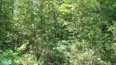 DSC05204