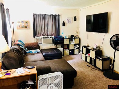 524 Carney Ave, Mankato, MN 56001 - photo 4