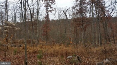 180 Spring Hollow Ln, Great Cacapon, WV 25422 - photo 7