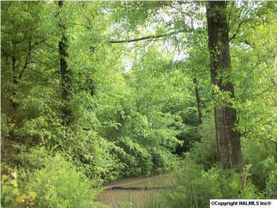fox creek runs through the center of the property