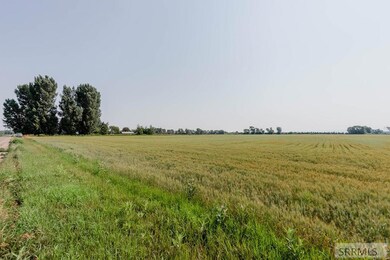 Field view