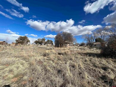 51654 Highway 491, Cahone, CO 81324 - photo 3