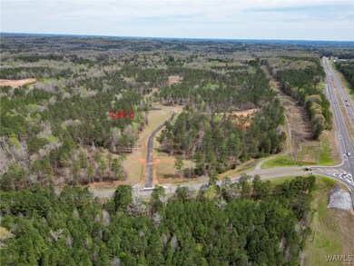 Lot 2 Pine Cir, Coker, AL 35452 - photo 5