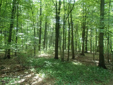 P7130084