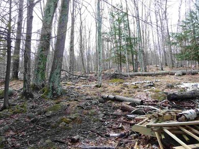 115 Rattlesnake Island, Alton, NH 03810 - photo 6