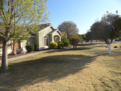 front yard