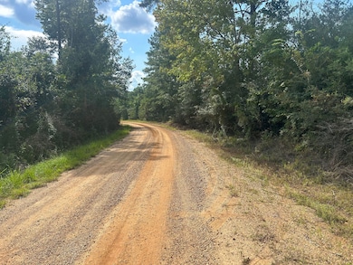 0 Coppell unit 24578243, Centreville, MS 39631 - photo 2