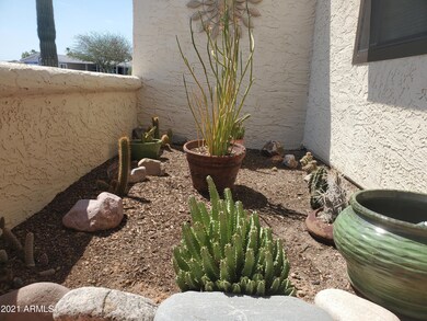 3. Cactus Garden