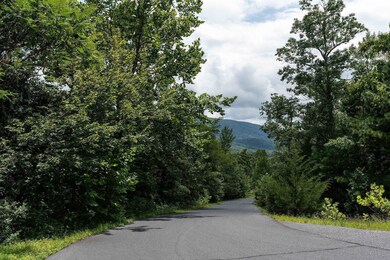 tbd Fox Run Ln, Waynesboro, VA 22980 - photo 3