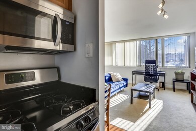 Mica Condominiums unit 115, Silver Spring, MD 20910 - photo 6