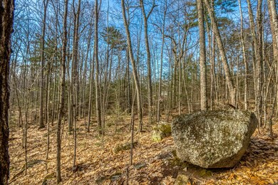 0 Spruce unit Lot 9 4948918, Wolfeboro, NH 03894 - photo 5