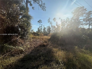 1088/1090 Ainsworth St E, Lehigh Acres, FL 33974 - photo 5