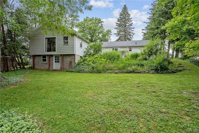 Large backyard with walkout basement