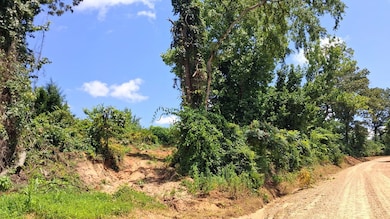 0 Gray Academy Rd unit 161240, Ashland, MS 38603 - photo 2