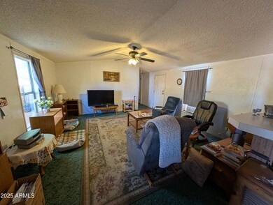 PXL_20250429_000343815