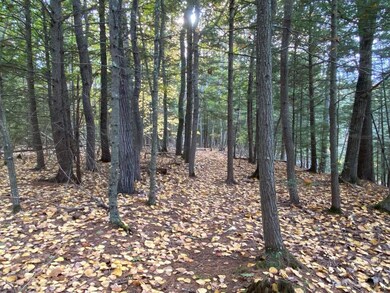 0 Ardan Rd unit 1532439, Boothbay, ME 04537 - photo 6