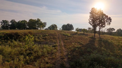 Tbd Bamber St, Mammoth Spring, AR 72554 - photo 6