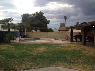 Backyard 3