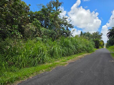 0 Oopu St unit 715884, Hawaiian Beaches, HI 96778 - photo 3