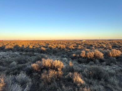 IMG_5279