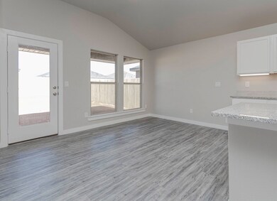 1117 Cajun St, Odessa, TX 79765 - photo 6