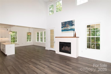 690 Settlers Trail, Mars Hill, NC 28754 - photo 6