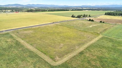 4XX E Half Moon Rd, Colbert, WA 99005 - photo 7