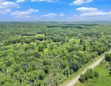 2714 E Hawley Rd, Custer, MI 49405 - photo 3