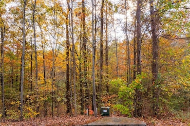 View of local wilderness