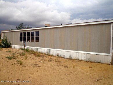 17 Road 3937, Farmington, NM 87401 - photo 4