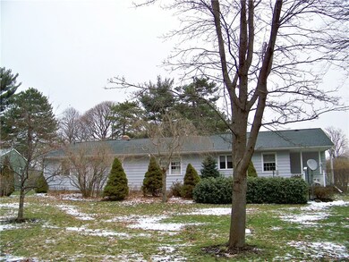 Back view