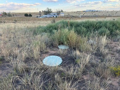 15 Dusty Ln, Edgewood, NM 87015 - photo 6