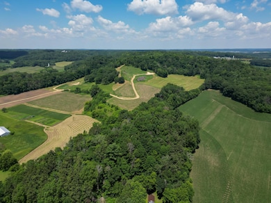 E2519 State Rd 29, Lucas Township, WI 54751 - photo 4