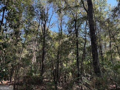 0011GH Wallace Buie Rd, Webb, AL 36376 - photo 7