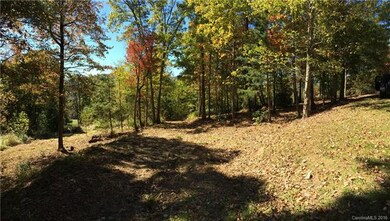 16 Smokey Ridge Trail unit LOT 172, Arden, NC 28704 - photo 4