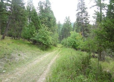 Nhn Spring Hill Rd, Kila, MT 59920 - photo 4
