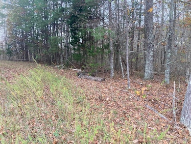 Cleared area off Hwy.