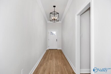 24361 Bekah Ln, Toney, AL 35773 - photo 4