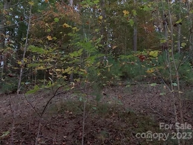 Lot 6 Theresa Terrace unit 6, Nebo, NC 28761 - photo 6