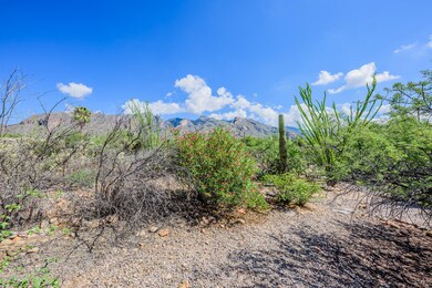 006 - 3887 E. Marshall Gulch Place